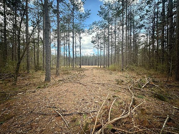 2nd image of Coleman Rd