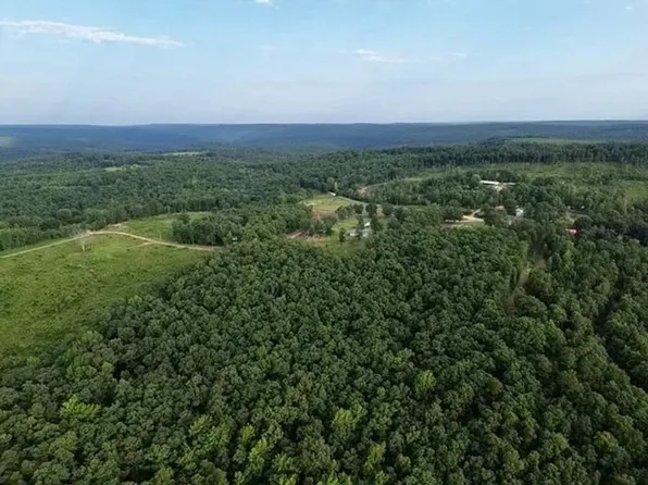 Shilow Ln, Clinton, AR 72031