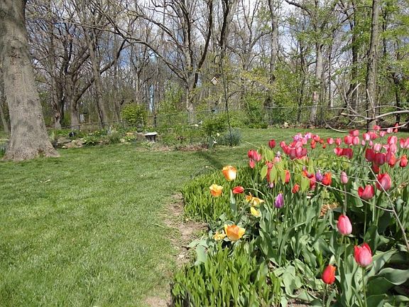 4th image of 6205 Indian Mound Dr
