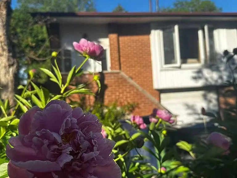 15 Harnworth Dr — Photo 2