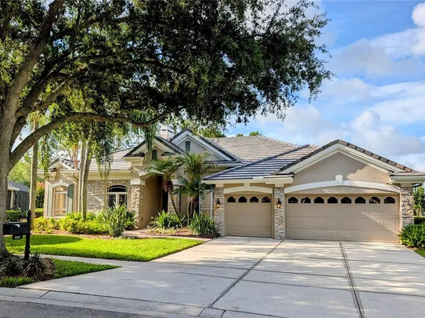 9107 Woodridge Run Dr, Tampa, FL 33647