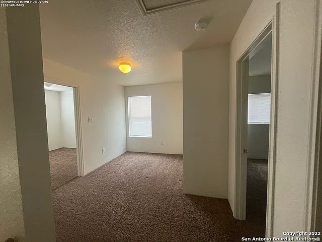 11247 Terra Loop Rd — Photo 11