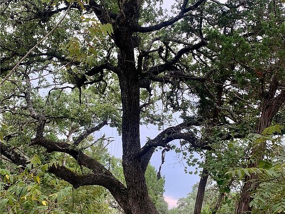 4th image of 807 Stagecoach Trl