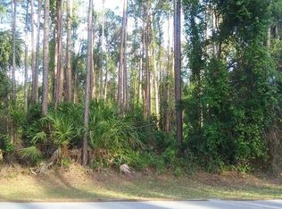 20 Post Ln, Palm Coast, FL 32164