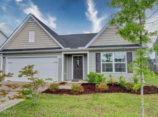 7124 Brittany Pointer Ct, Wilmington, NC 28411