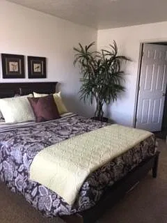 Willow Cove — Photo 18