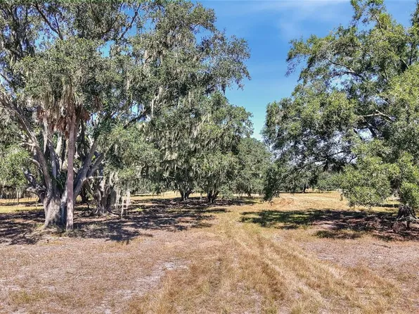 470 Moccasin Hollow Rd Lot 2, Lithia, FL 33547