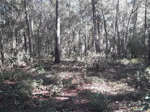 0 NE 172nd Ter #381, Silver Springs, FL 34488