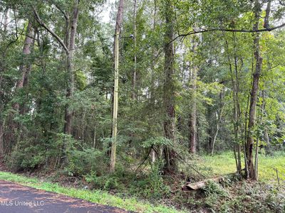 River Music Dr, Gautier, MS, 39553