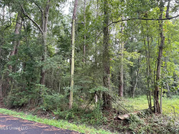 River Music Dr, Gautier, MS 39553