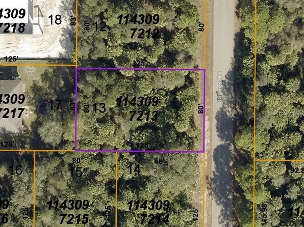 LOT 13 Baynes Rd Lot 13, North Pt, FL 34288