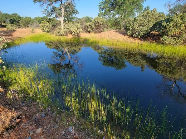 1179ACR E Wildridge Rd, Cottonwood, CA 96022