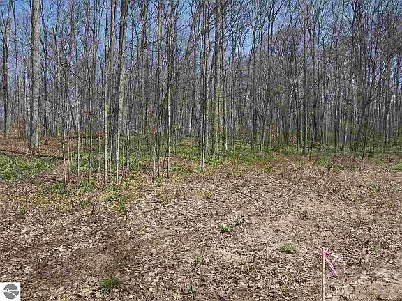 5th image of W Armstrong Lake Trail B 4