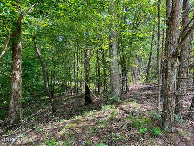 LOT 321 Bluegreen Way, Rockwood, TN, 37854