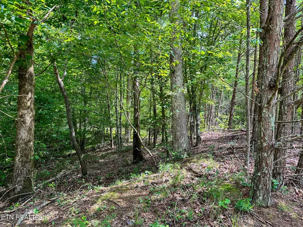 LOT 321 Bluegreen Way, Rockwood, TN 37854