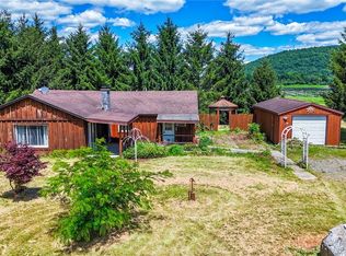 328 Spencer Rd, Candor, NY 13743