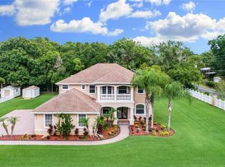 4014 Aladar Ct, Land O Lakes, FL 34639