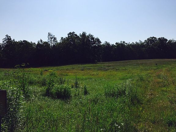 5th image of 10 Country Meadow Ln