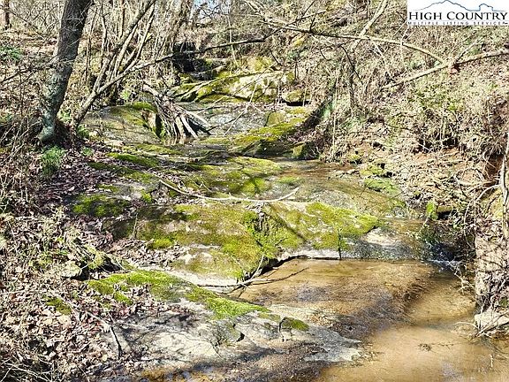 5th image of 667 Pads Road