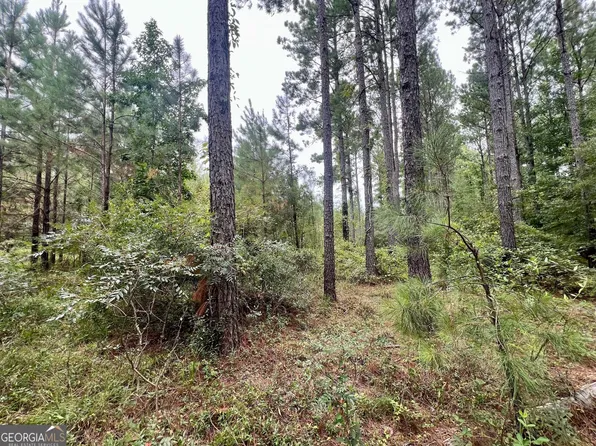 1177 Tarver Rd, Davisboro, GA 31018