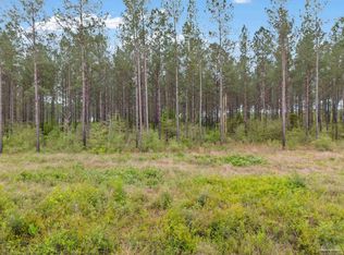 LOT 3 Mineral Springs Rd, Jay, FL 32565
