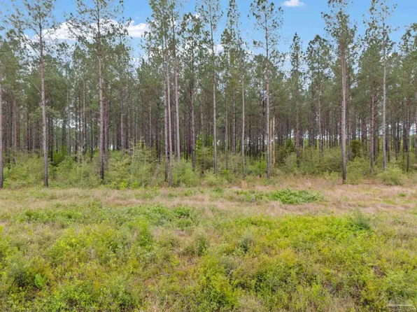 LOT 3 Mineral Springs Rd, Jay, FL 32565