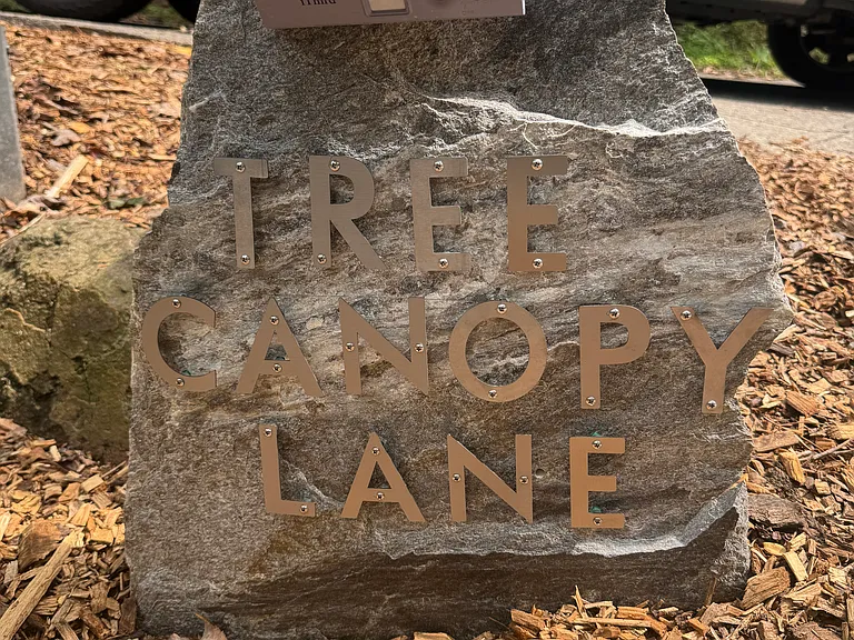 17 Tree Canopy Ln — Photo 19