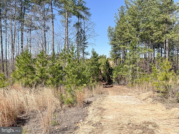 5th image of Yellowbottom Rd