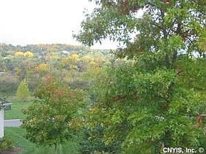 5th image of 6647 Winslow Dr