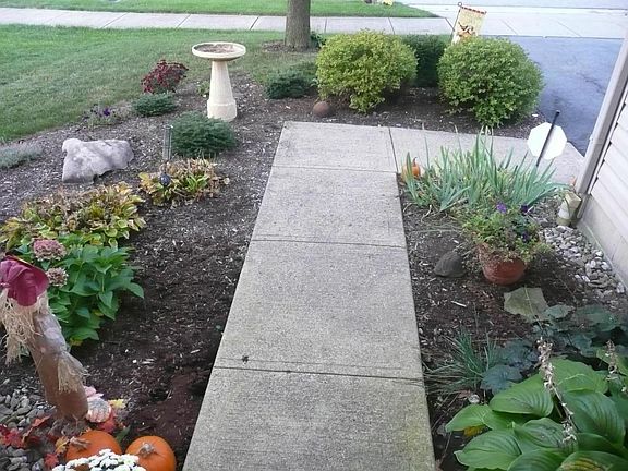5th image of 117 Limetree Dr