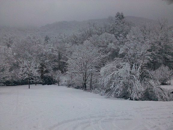 View from the front porch