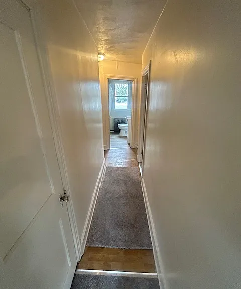 411 S George St #3 — Photo 5