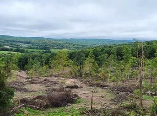 4-998 Hanlin Rd, Bruceton Mills, WV 26525