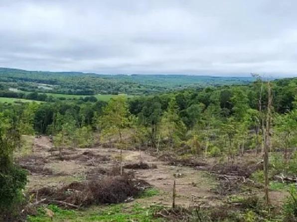 4-998 Hanlin Rd, Bruceton Mills, WV 26525