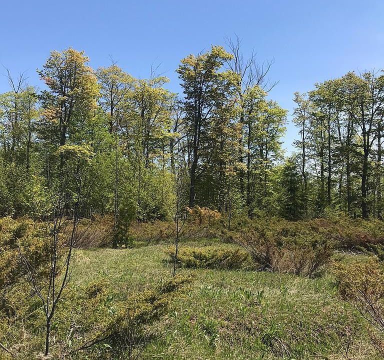 1st image of LOT 2 Northwoods Dr