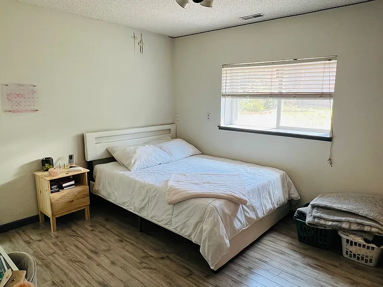 Bedroom #3 (Lower Level)