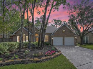 18 Skyland Pl, The Woodlands, TX 77381