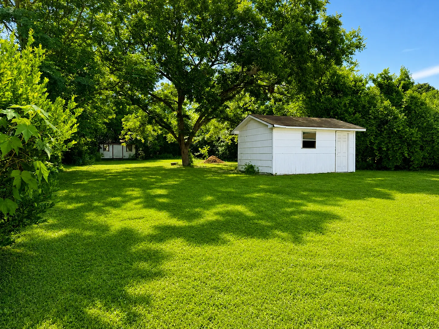 Pet Friendly Home in North Augusta SC — Photo 4