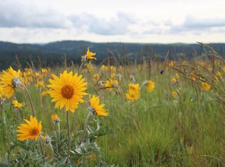 67 Shortcut Rd, Cottonwood, ID 83522