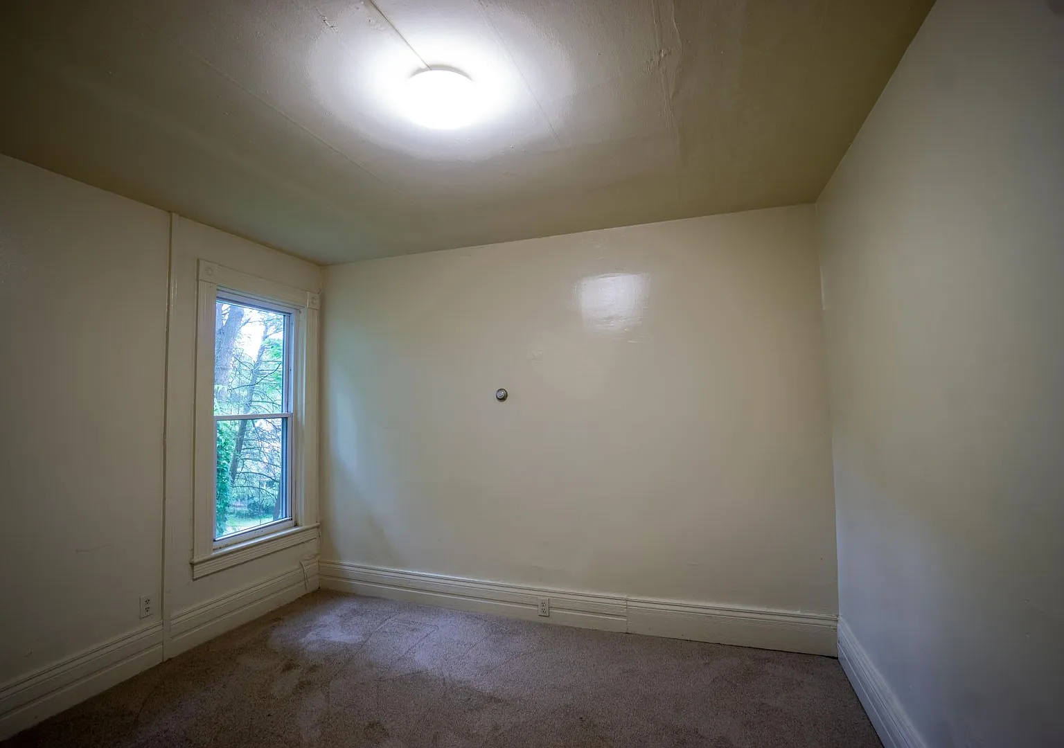 134 Bassett Street Apt 2r - Available July 1, 2027 - Best Value For Your Money — Photo 4