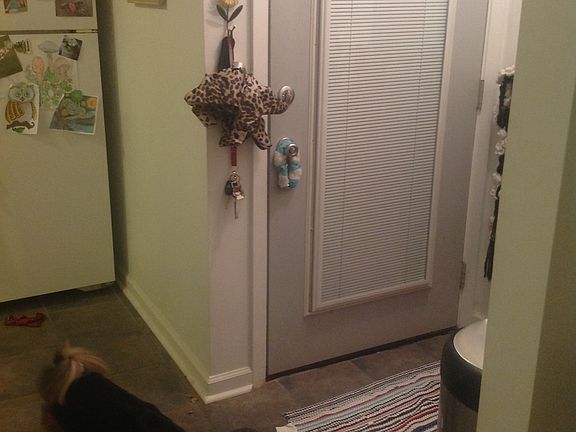 5th image of 139 Cooper Ln