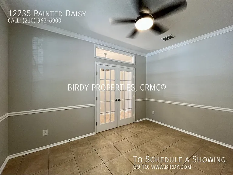 12235 Painted Daisy — Photo 11