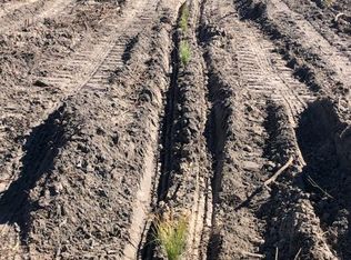 125th Road, McAlpin, FL 32062