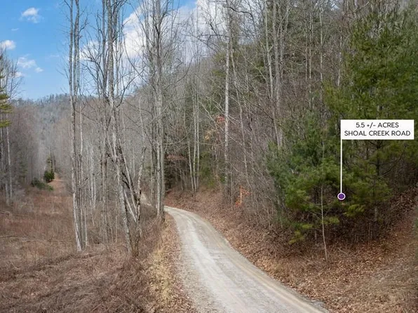 TBD Shoal Creek Road, Scaly Mountain, NC 28775