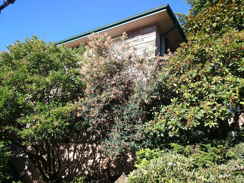 2nd image of 701 3rd Ave W #703