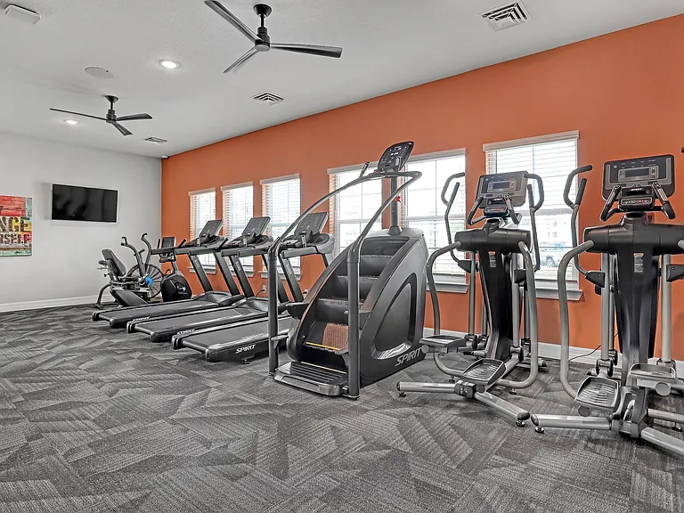 Palm Breeze Apartments — Photo 41