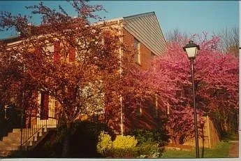2529 Windbreak Dr — Photo 15
