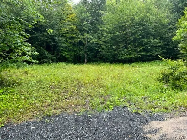 1 Donavan Rd, Salisbury Center, NY 13454