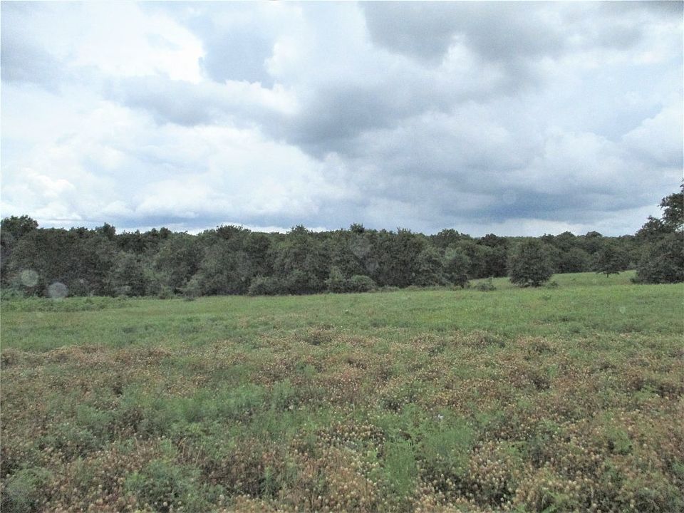 1st image of Township Road 7 Star Mann