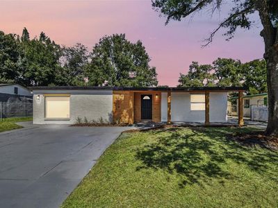 7918 Endive Ave, Tampa, FL, 33619